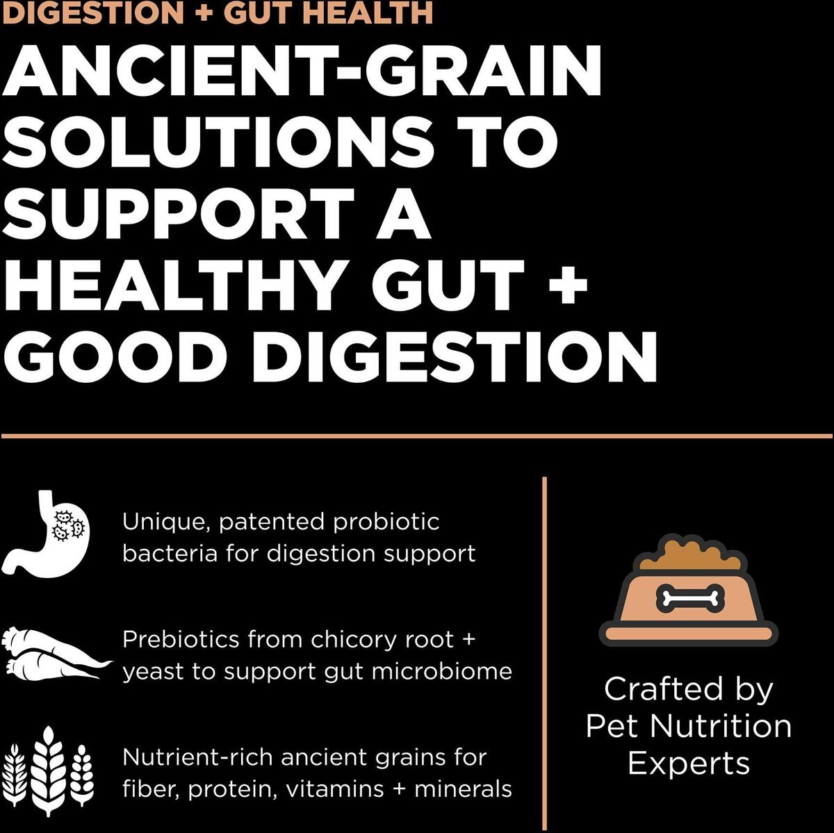 GO! SOLUTIONS Digestive + Gut Health Salmon Recipe with Ancient