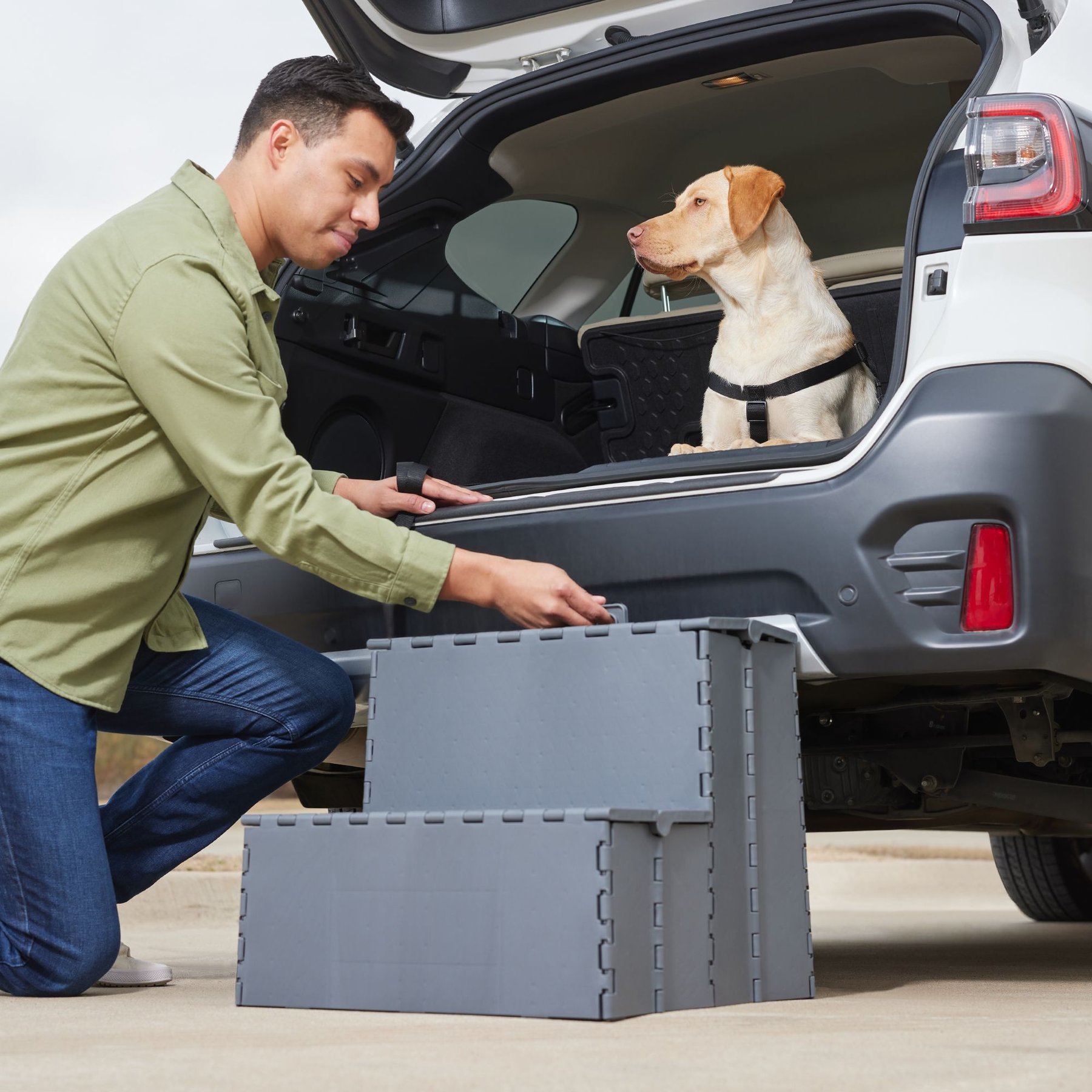 Frisco Foldable Dog Stairs, Gray 