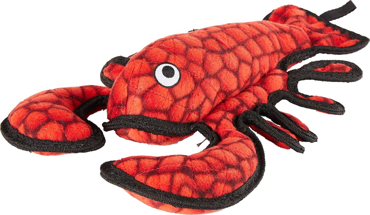 Tuffy lobster 2024 dog toy