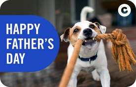 Dad's Day