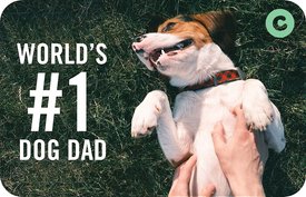 Number One Dad