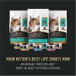 Purina Pro Plan Complete & Balanced Kitten Starter Pack Cat Food, 2.12-lb box