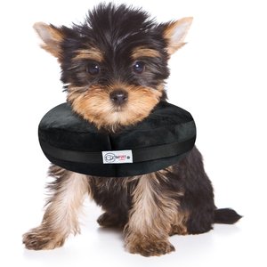 Comfurt Collar Dog & Cat Recovery Collar, Black, X-Small
