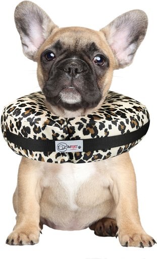 Comfurt Collar Dog & Cat Recovery Collar, Cheetah, Small