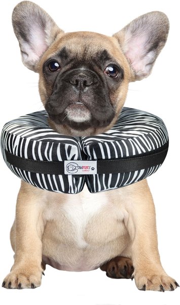 Comfurt Collar Dog & Cat Recovery Collar, Zebra, Small slide 1 of 5