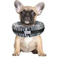 Comfurt Collar Dog & Cat Recovery Collar, Zebra, Small