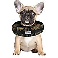 Comfurt Collar Dog & Cat Recovery Collar, Camo, Small