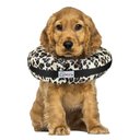 COMFURT COLLAR Stuffed Not Inflatable Dog & Cat Recovery Collar, Cheetah, Medium