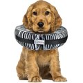 Comfurt Collar Dog & Cat Recovery Collar, Zebra, Medium