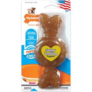 Nylabone Puppy Chew Ring Chicken Flavored Puppy Chew Toy, Medium