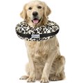 Comfurt Collar Dog & Cat Recovery Collar, Cheetah, X-Large