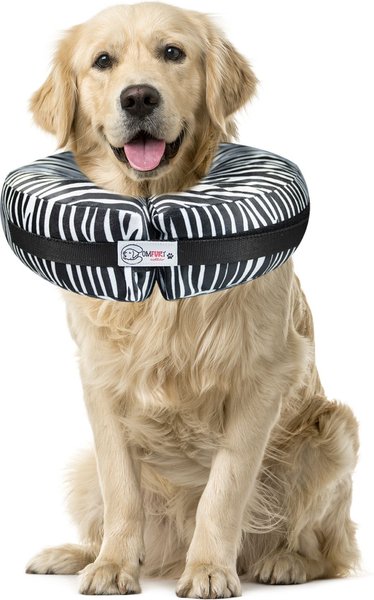 Comfurt Collar Dog & Cat Recovery Collar, Zebra, X-Large slide 1 of 1