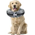 Comfurt Collar Dog & Cat Recovery Collar, Zebra, X-Large
