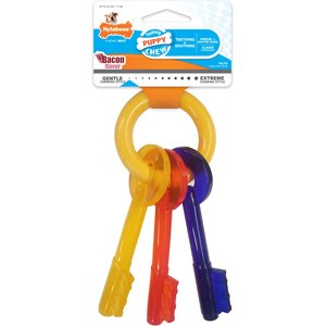 Nylabone Just for Puppies Teething Chew Toy Keys Bacon, Small