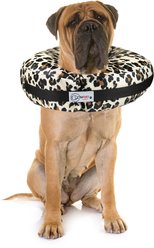 Comfurt Collar Dog & Cat Recovery Collar, Cheetah, XX-Large