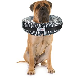 Comfurt Collar Dog & Cat Recovery Collar, Zebra, XX-Large
