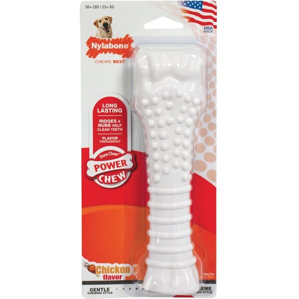 Nylabone Chill & Chew Freezer Chicken Flavored Dog Chew Toy
