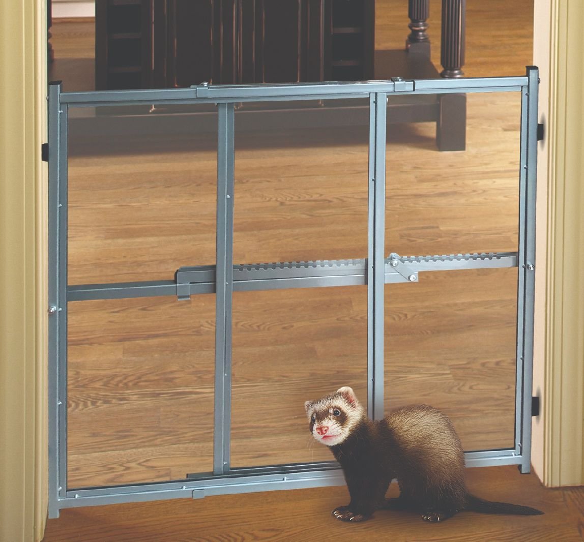 Plexiglass 2025 ferret gate