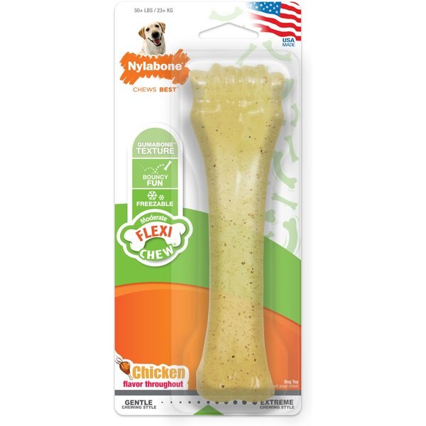 Nylabone Roast Beef & Chicken Flavored Dog Chew Toy