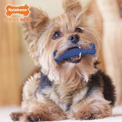 Nylabone Moderate Chew FlexiChew Dental Chew Toy, Textured Bone, Chicken, Small  slide 2 of 9