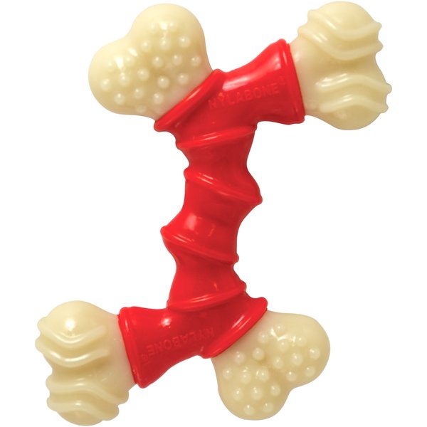 FRISCO Easter TPR Bone Squeaky Dog Toy, Medium/Large, 2 count