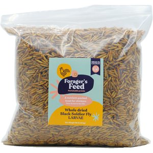Forager's Feed Whole Dried Black Soldier Fly Larvae Bag Poultry Treats, 1-lb bag