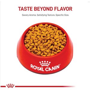 Royal Canin Feline Health Nutrition Kitten Spayed/Neutered Dry Cat Food, 2.5-lb bag