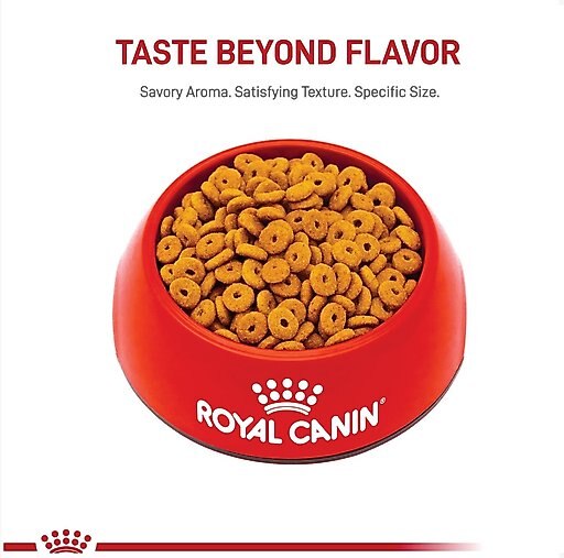 Royal Canin Feline Care Nutrition Appetite Control Care Dry Cat Food, 6-lb bag