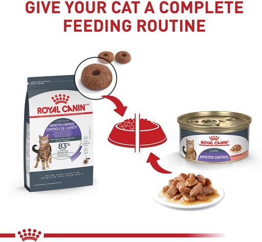 Royal Canin Feline Care Nutrition Appetite Control Care Dry Cat Food, 6-lb bag