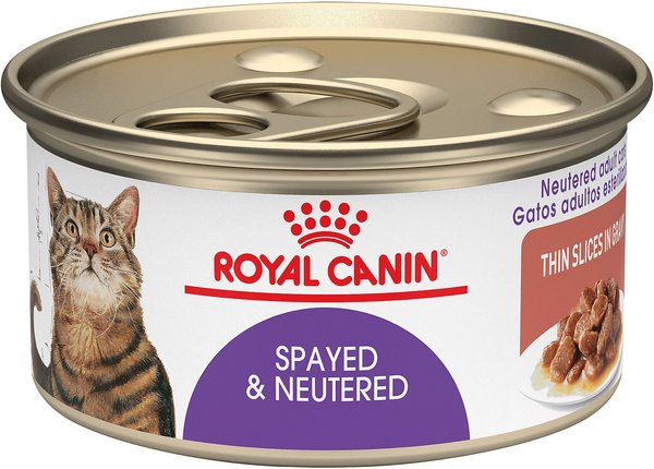 Royal Canin Feline Health Nutrition Spayed/Neutered Thin Slices in Gravy Canned Cat Food, 3-oz, case of 24 slide 1 of 7