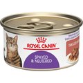 Royal Canin Feline Health Nutrition Spayed/Neutered Thin Slices in Gravy Canned Cat Food, 3-oz, case of 24
