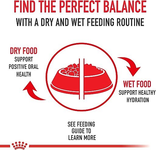 Royal Canin Feline Health Nutrition Instinctive 7+ Thin Slices in Gravy Canned Cat Food, 3-oz, case of 24