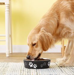 Loving Pets Bella Non-Skid Stainless Steel Dog & Cat Bowl, Expresso, 6.5-cup slide 2 of 3