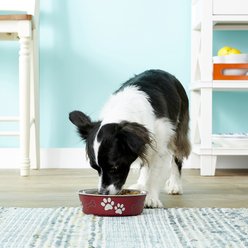 Loving Pets Bella Non-Skid Stainless Steel Dog & Cat Bowl, Merlot, 3.25-cup slide 2 of 2