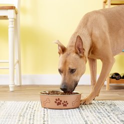 Loving Pets Bella Non-Skid Stainless Steel Dog & Cat Bowl, Metallic Champagne, 7.75-cup slide 2 of 3