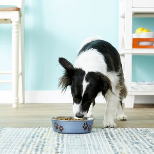 Loving Pets Bella Non-Skid Stainless Steel Dog & Cat Bowl, Blueberry, 3.25-cup