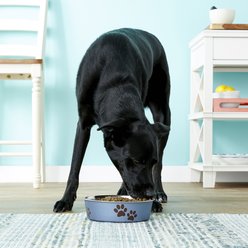 Loving Pets Bella Non-Skid Stainless Steel Dog & Cat Bowl, Blueberry, 6.5-cup slide 2 of 3