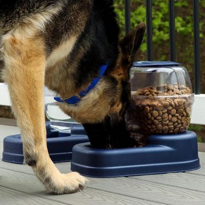 Show full view: Bergan Gourmet Gravity Refill Dog & Cat Waterer, 384-oz slide 2 of 5