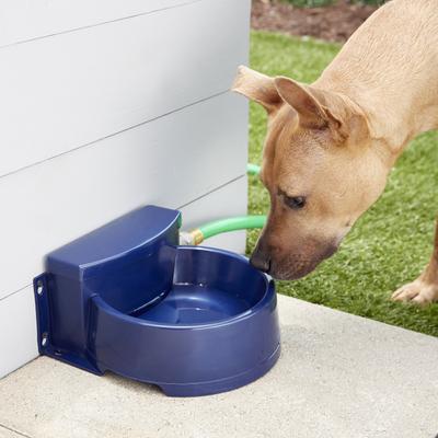 Show full view: Bergan Auto-Wata Dog & Cat Bowl, 48-oz slide 3 of 7