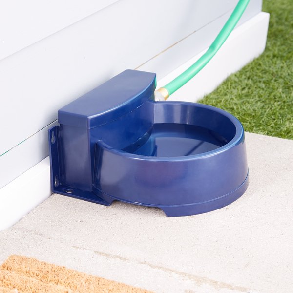 Show full view: Bergan Auto-Wata Dog & Cat Bowl, 48-oz slide 4 of 6