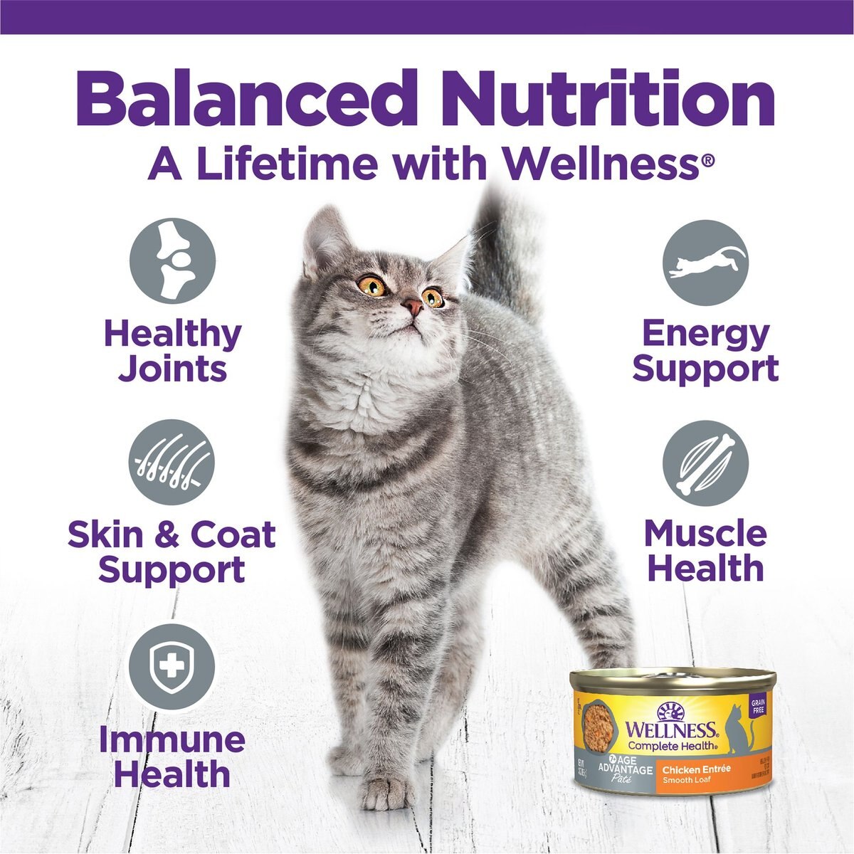 WELLNESS Complete Health Age Advantage GrainFree Variety Pack Wet Cat Food, 3oz can, case of