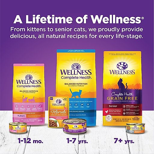 Wellness Complete Health Age Advantage Grain-Free Variety Pack Wet Cat Food, 3-oz can, case of 24