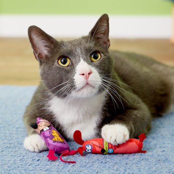 Discontinued - FAT CAT Classic Appeteasers Cat Toy, Character Varies ...