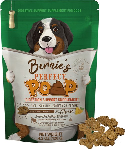 Bernie's Perfect Poop Cheese Flavor Digestion Support Dog Supplement, 4.2-oz bag slide 1 of 4