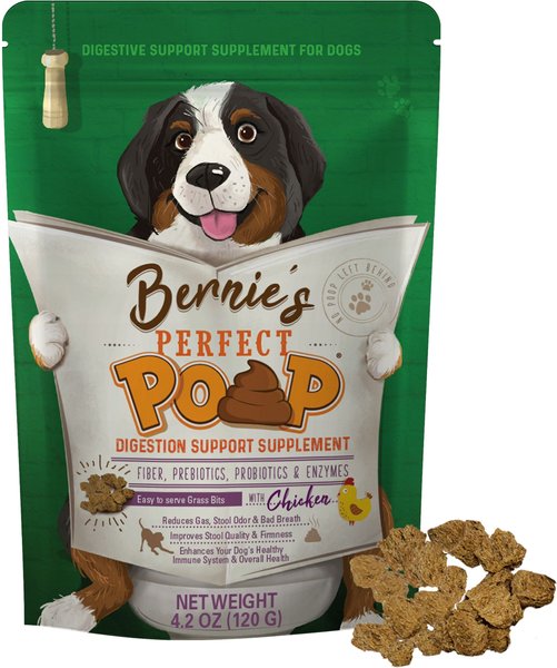 Bernie's Perfect Poop Chicken Flavor Digestion Support Dog Supplement, 4.2-oz bag slide 1 of 4