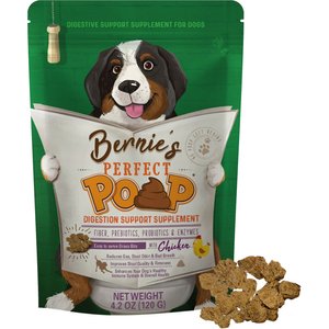 Bernie's Perfect Poop Chicken Flavor Digestion Support Dog Supplement, 4.2-oz bag