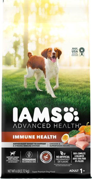 Iams Advanced Immune Health Chicken & Superfoods Adult Dry Dog Food, 6-lb bag slide 1 of 8