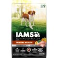 Iams Advanced Immune Health Chicken & Superfoods Adult Dry Dog Food, 27-lb bag