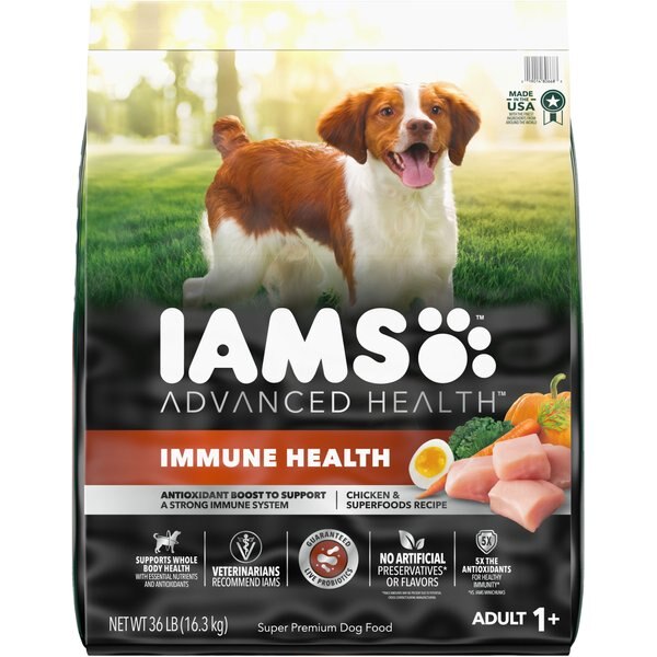 IAMS Advanced Health Skin & Coat Chicken & Salmon Recipe Adult Dry Dog