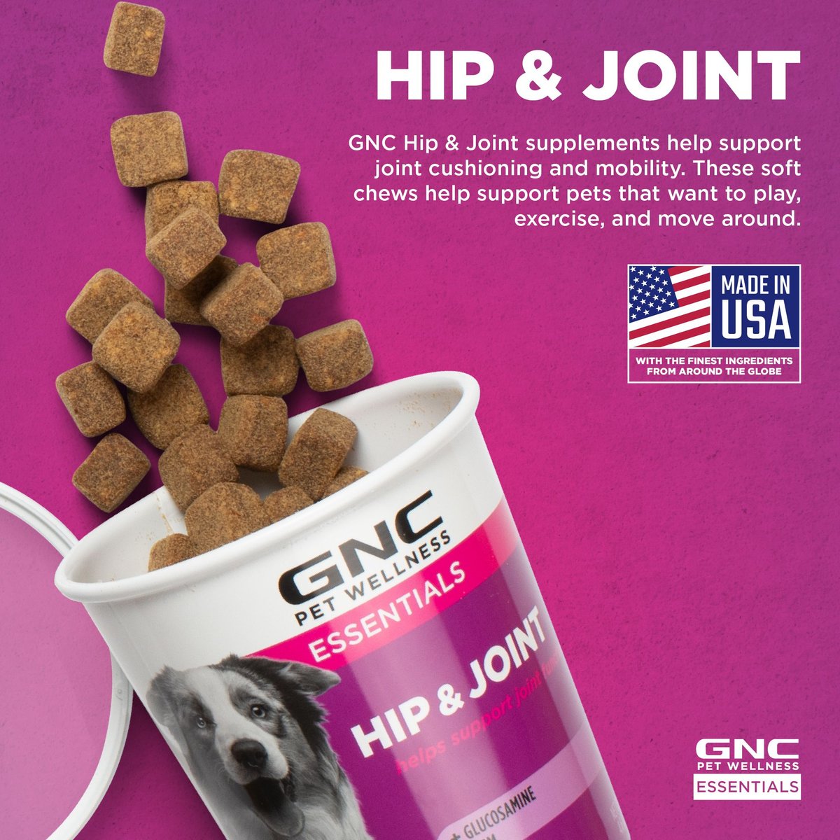 GNC PETS ESSENTIALS Hip & Joint Soft Chews Dog Supplement, 60 count